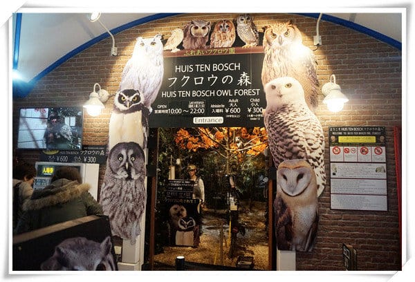 日本九州豪斯登堡HUIS TEN BOSCH-療癒系フクロウの森(貓頭鷹之森)~必逛.必玩!就像哈利波特一般.置身在可愛貓頭鷹旁 - 第3張圖 208472165.jpg