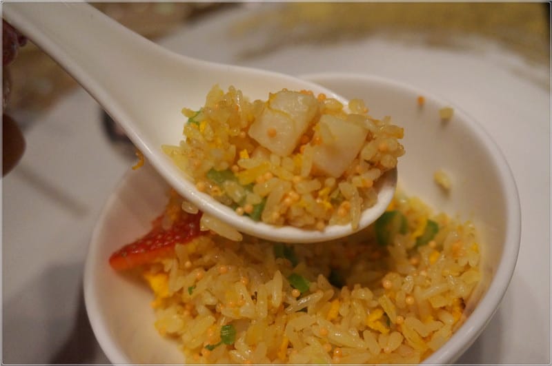 DSC02077.jpg DSC02077.jpg