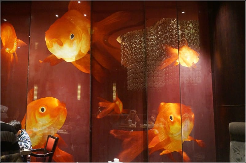 DSC02078.jpg DSC02078.jpg