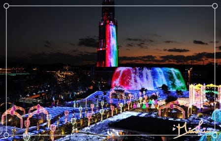 201511295022 201511295022