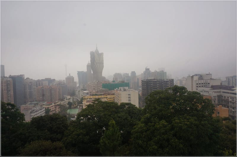 DSC01207.jpg DSC01207.jpg