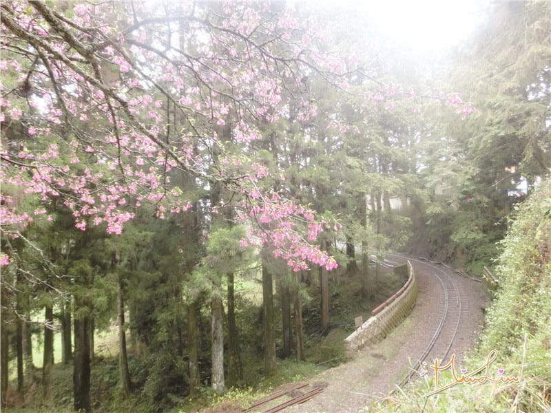 1458570627-3539559425.jpg 1458570627-3539559425.jpg