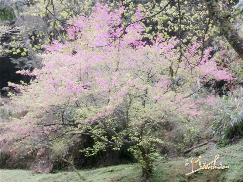 1458570629-2210989637.jpg 1458570629-2210989637.jpg