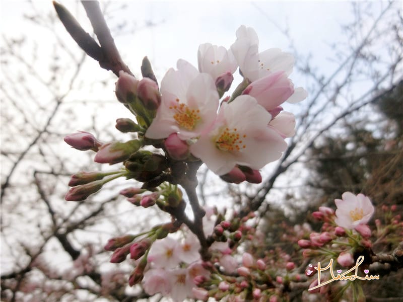 1458570618-1861134831.jpg 1458570618-1861134831.jpg