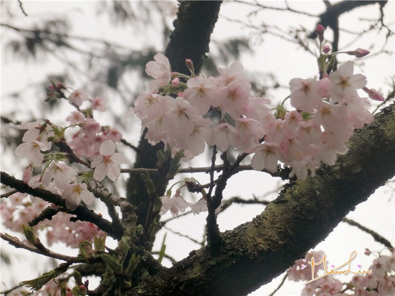 1458570594-355663244.jpg 1458570594-355663244.jpg