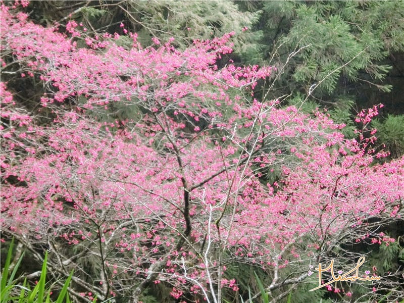 1458570602-2719134499.jpg 1458570602-2719134499.jpg