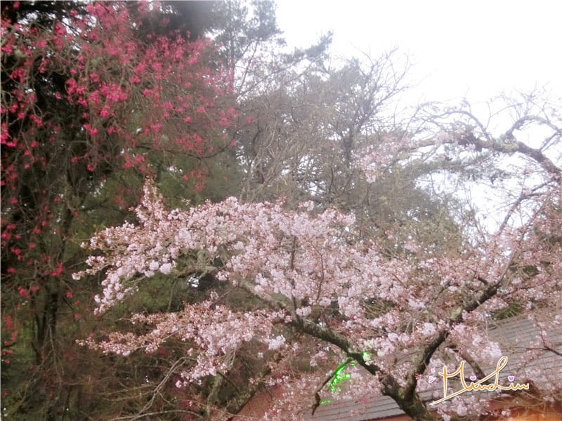 1458570612-406995757.jpg 1458570612-406995757.jpg