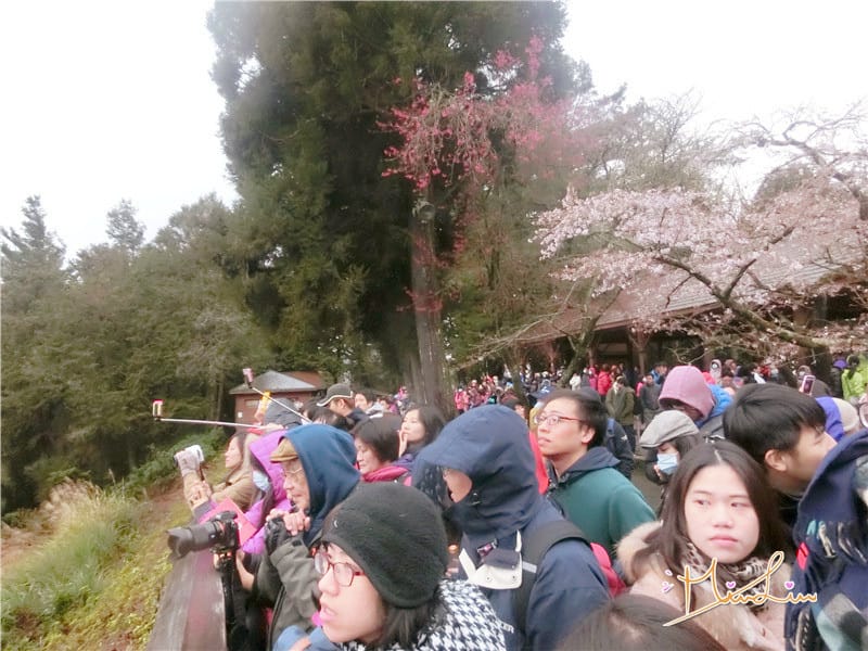 1458570615-3555452902.jpg 1458570615-3555452902.jpg