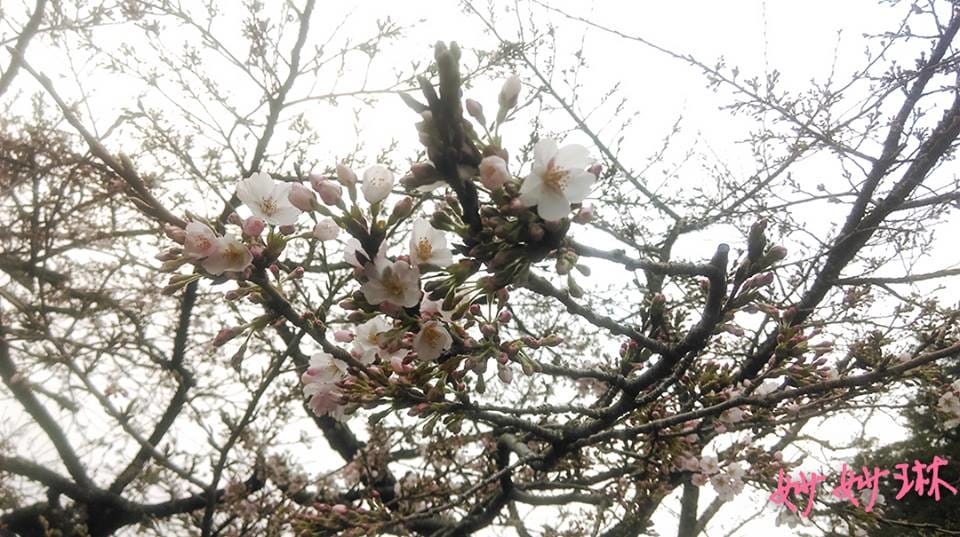 10294497_1338302752862460_600280486254392908.jpg 10294497_1338302752862460_600280486254392908.jpg