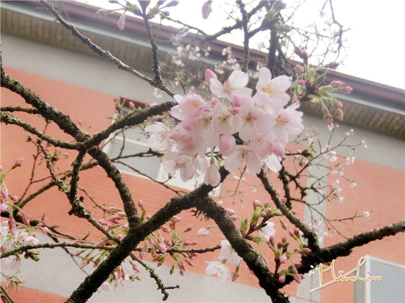 1458570593-248907440.jpg 1458570593-248907440.jpg