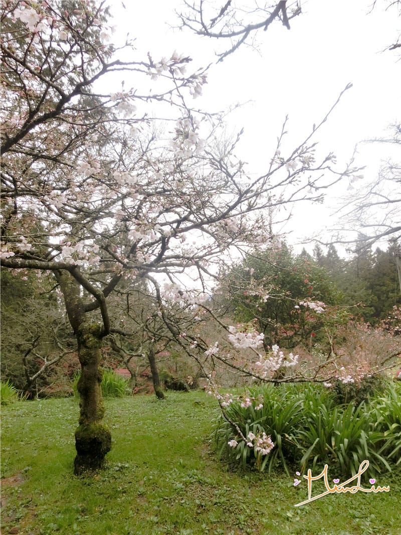 1458570595-3569735944.jpg 1458570595-3569735944.jpg