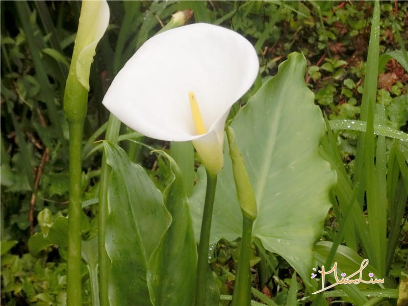 1458570633-2711174119.jpg 1458570633-2711174119.jpg