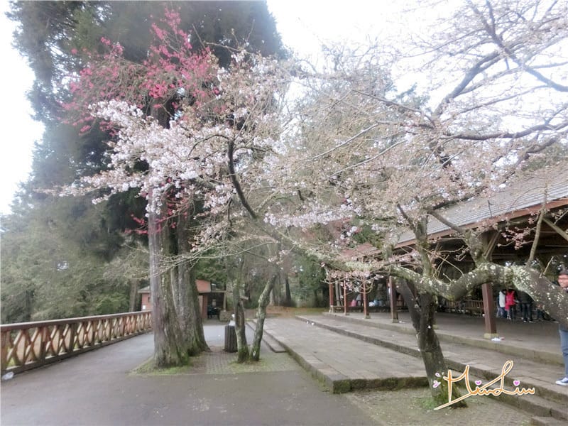 1458570619-2635664311.jpg 1458570619-2635664311.jpg