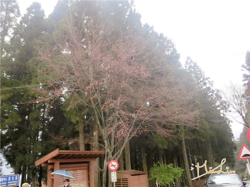 1458570590-862061663.jpg 1458570590-862061663.jpg