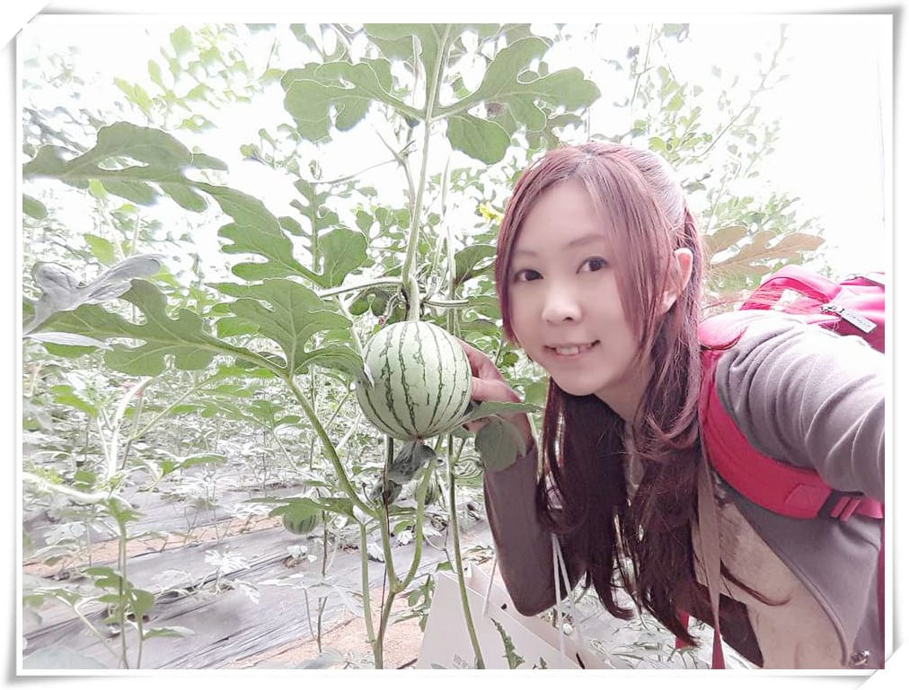 13001255_1362332060459529_6393045737529304473.jpg 13001255_1362332060459529_6393045737529304473.jpg