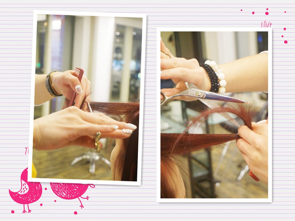 1458843501-2725256024_副本.jpg 1458843501-2725256024_副本.jpg