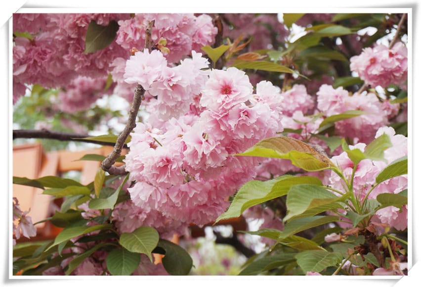 1460652624-1424872672.jpg 1460652624-1424872672.jpg