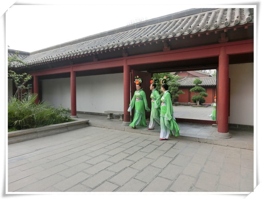 CIMG2651.jpg CIMG2651.jpg