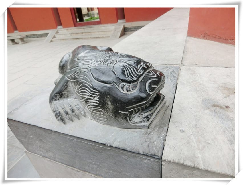 CIMG2682.jpg CIMG2682.jpg