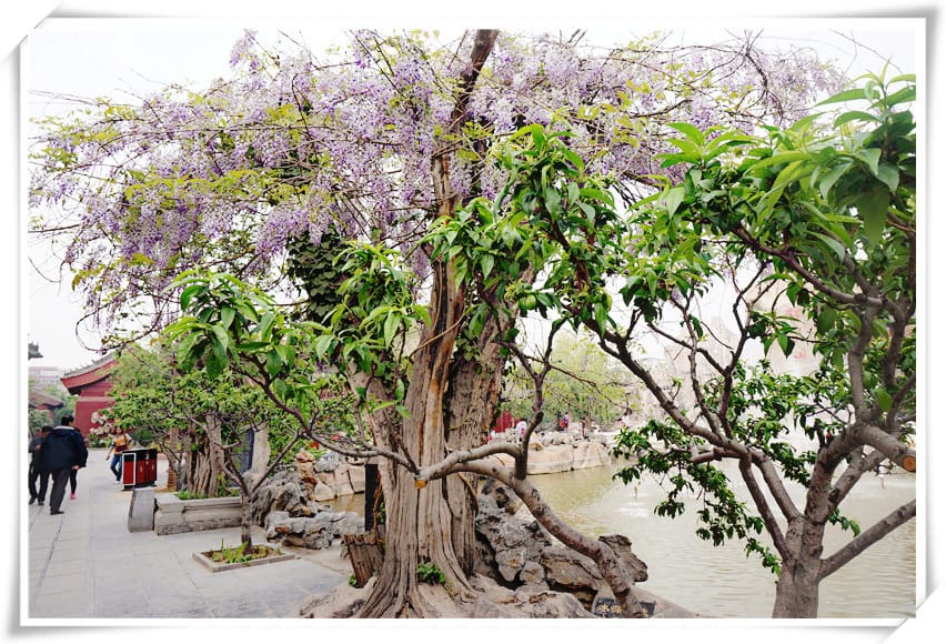 DSC02221.jpg DSC02221.jpg