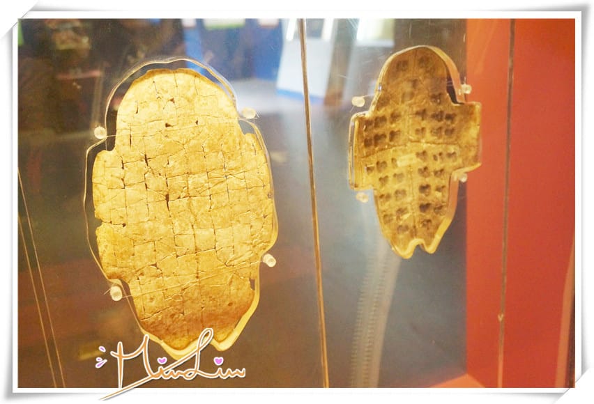 1460996836-2321690331.jpg 1460996836-2321690331.jpg