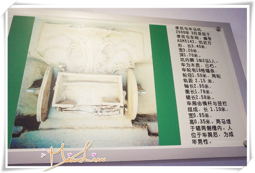 1460996857-616842642.jpg 1460996857-616842642.jpg