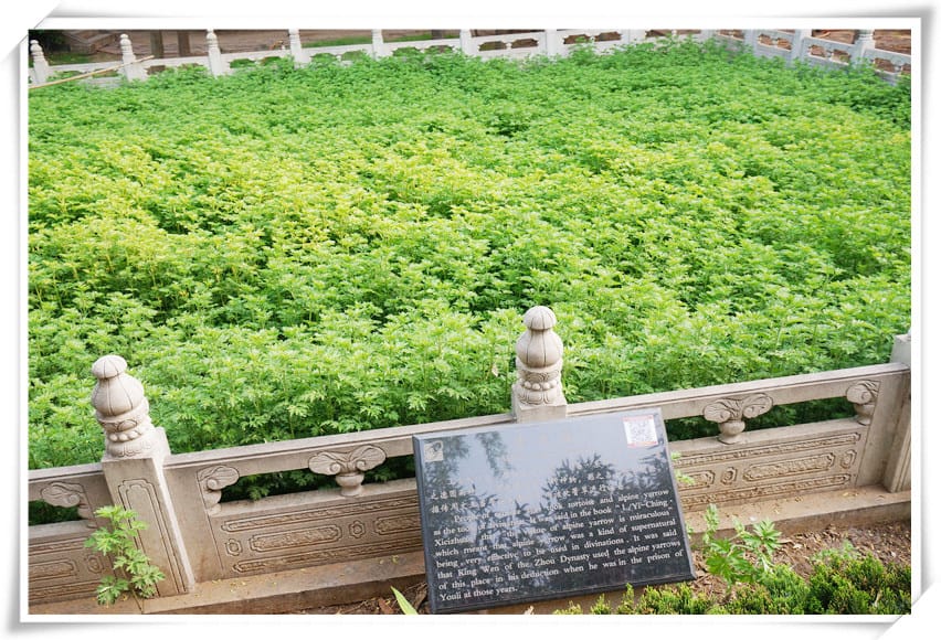 1460997139-2121832780.jpg 1460997139-2121832780.jpg