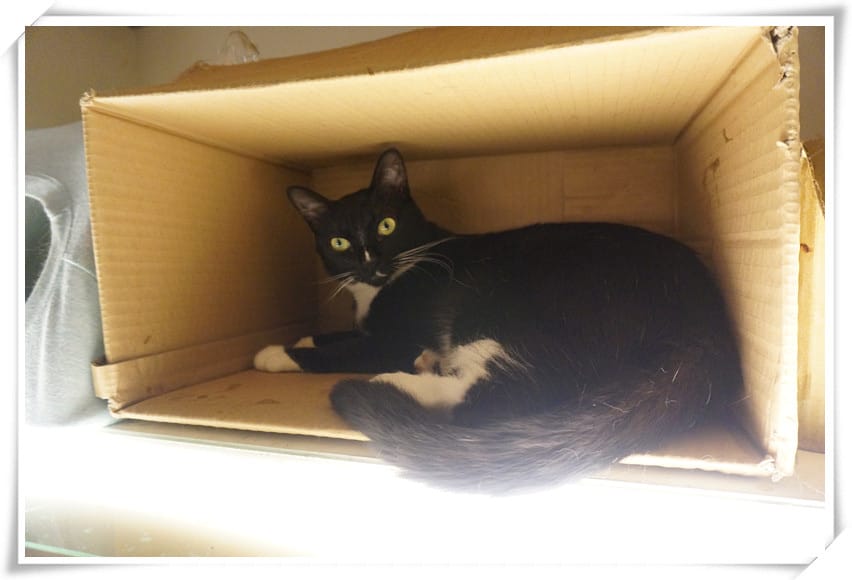 DSC03402_副本.jpg DSC03402_副本.jpg