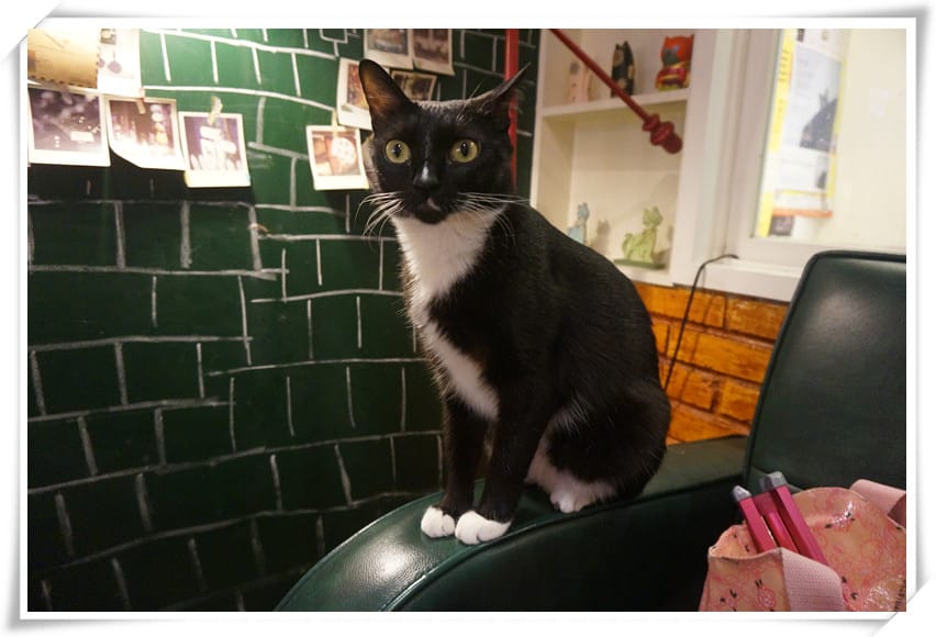 DSC03437_副本.jpg DSC03437_副本.jpg