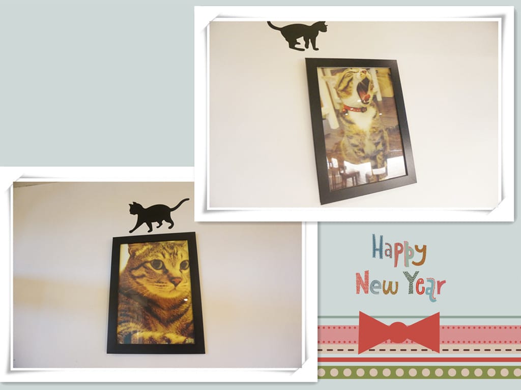 DSC03423_副本.jpg DSC03423_副本.jpg