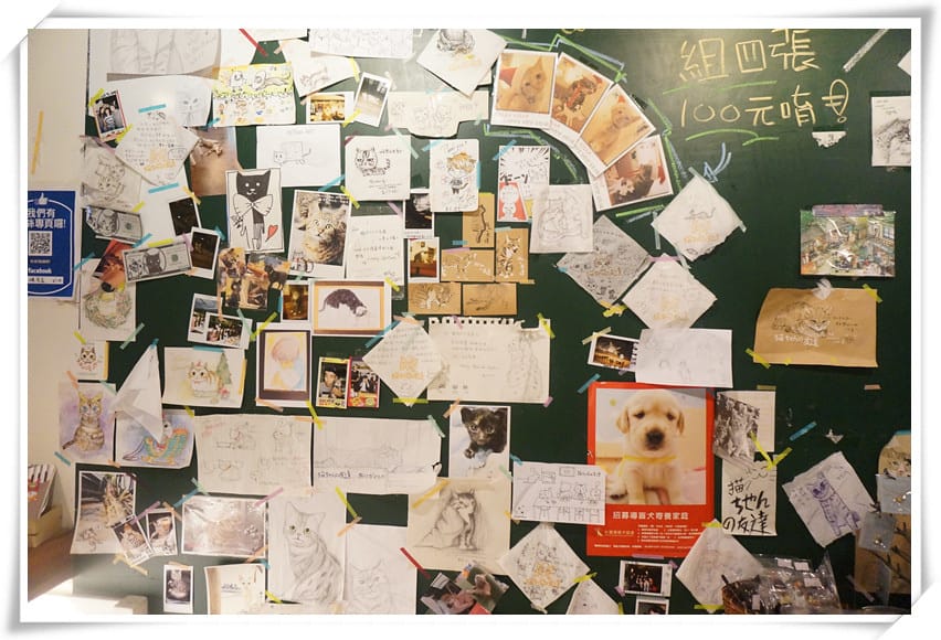 [忠孝復興站.寵物餐廳]貓咪先生的朋友～美式早午餐．燉飯．鬆餅．墨西哥餅，萌貓咪親人又溫馴