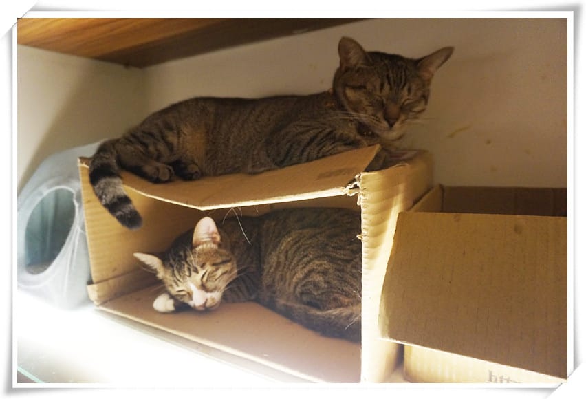 DSC03617_副本.jpg DSC03617_副本.jpg