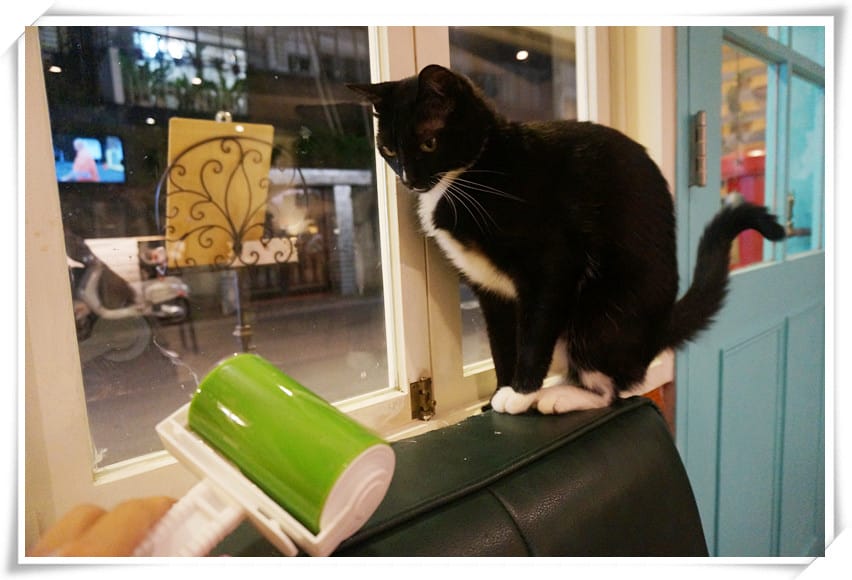 DSC03611_副本.jpg DSC03611_副本.jpg