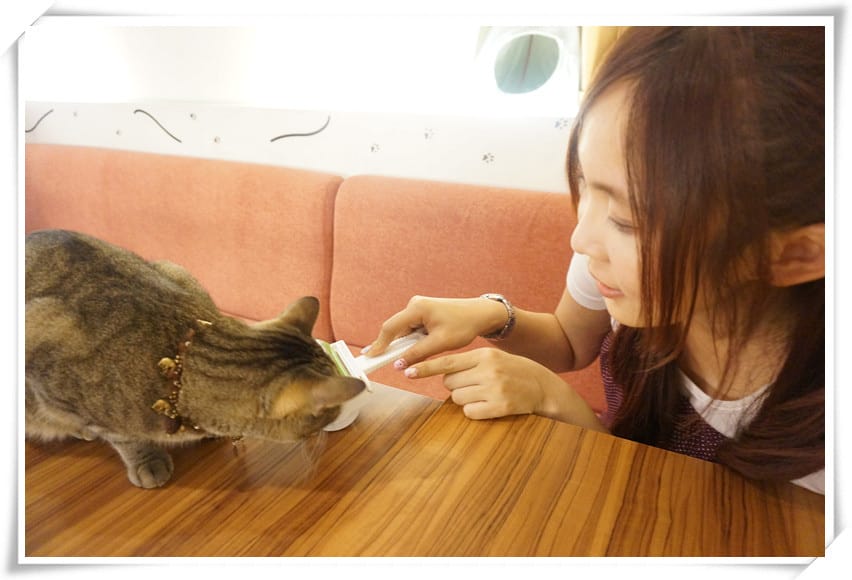 [生活.清潔]連黏樂除塵器三合一清潔組~輕鬆打掃的好幫手!