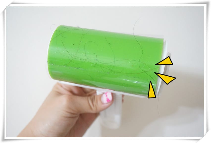 DSC03827_副本 DSC03827_副本