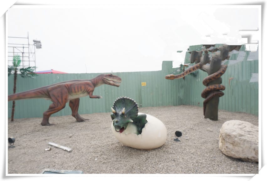 DSC03993_副本.jpg DSC03993_副本.jpg