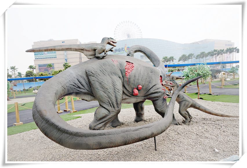 DSC03975_副本.jpg DSC03975_副本.jpg