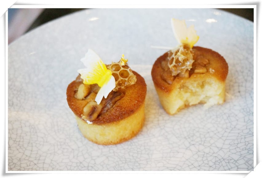 1464545886-333565767.jpg 1464545886-333565767.jpg