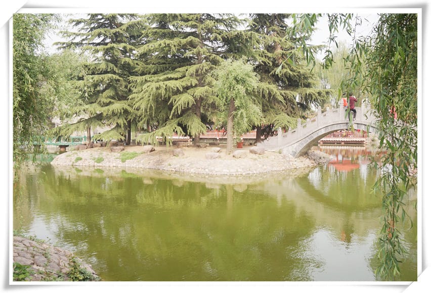 DSC00779.jpg DSC00779.jpg