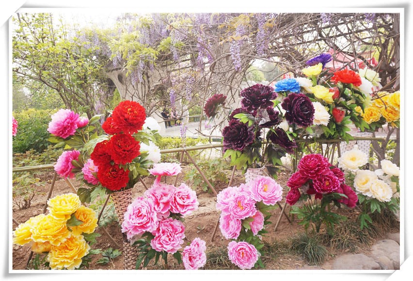 DSC00786.jpg DSC00786.jpg