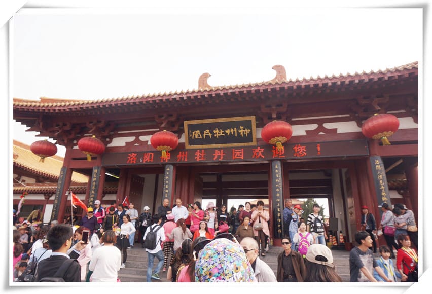 DSC00743.jpg DSC00743.jpg