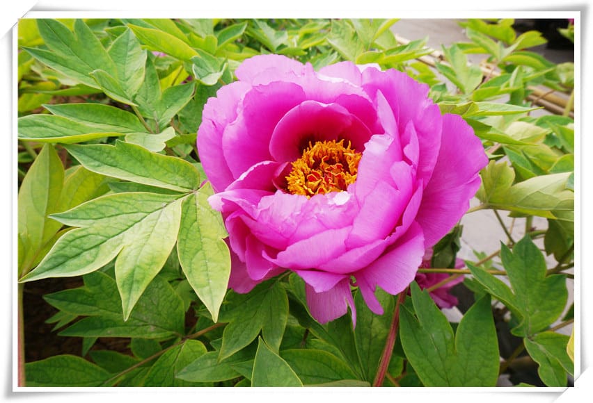 DSC00758.jpg DSC00758.jpg