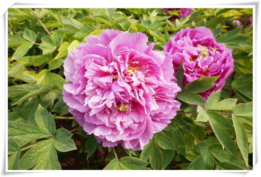 DSC00761.jpg DSC00761.jpg