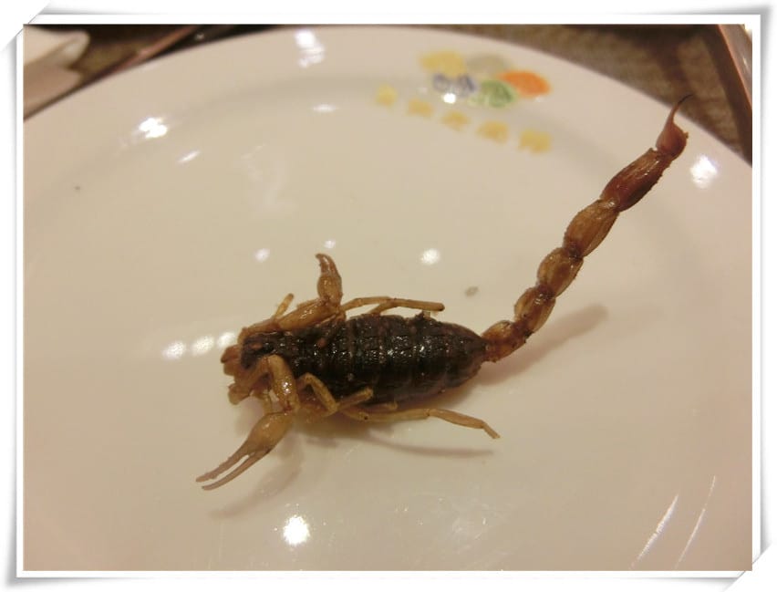 CIMG2285.jpg CIMG2285.jpg