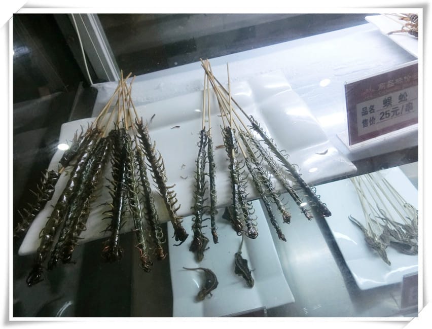 CIMG2823.jpg CIMG2823.jpg