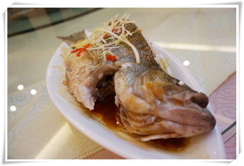 DSC00646.jpg DSC00646.jpg