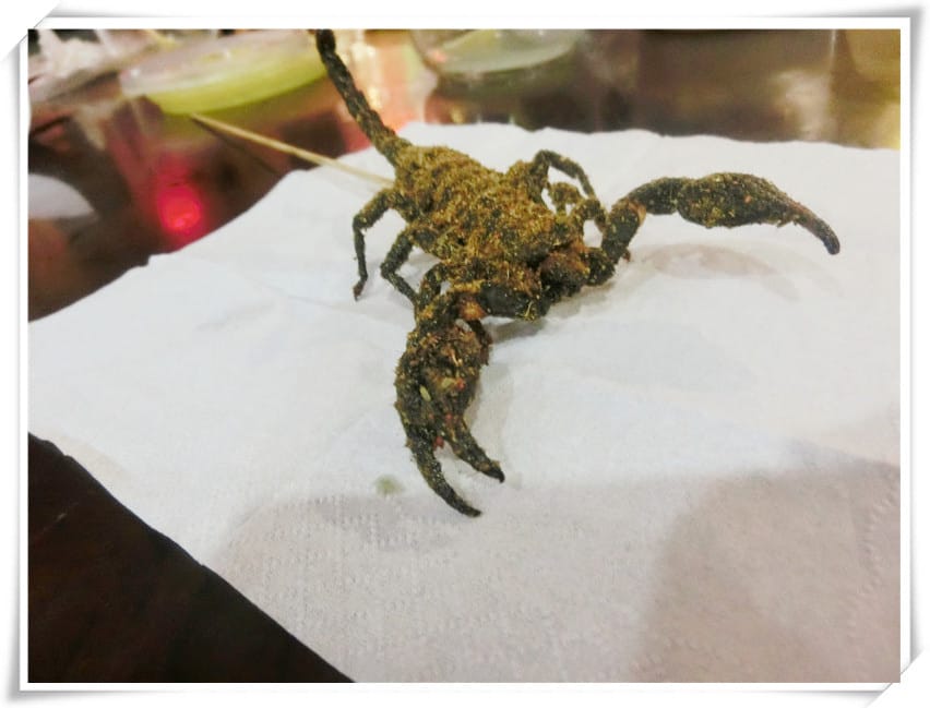 CIMG2874.jpg CIMG2874.jpg