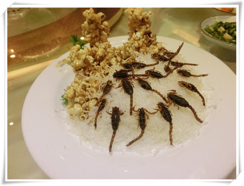 CIMG2272.jpg CIMG2272.jpg