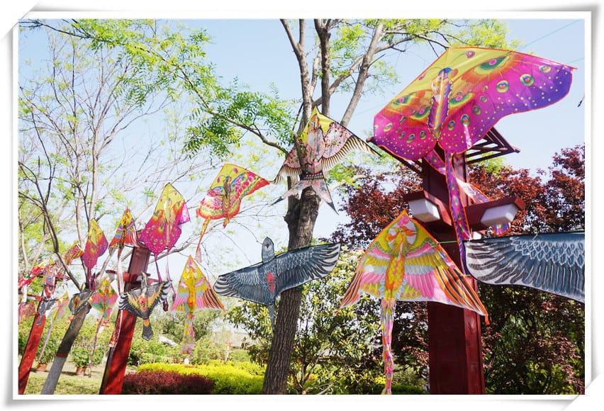 1460997576-4009823868.jpg 1460997576-4009823868.jpg