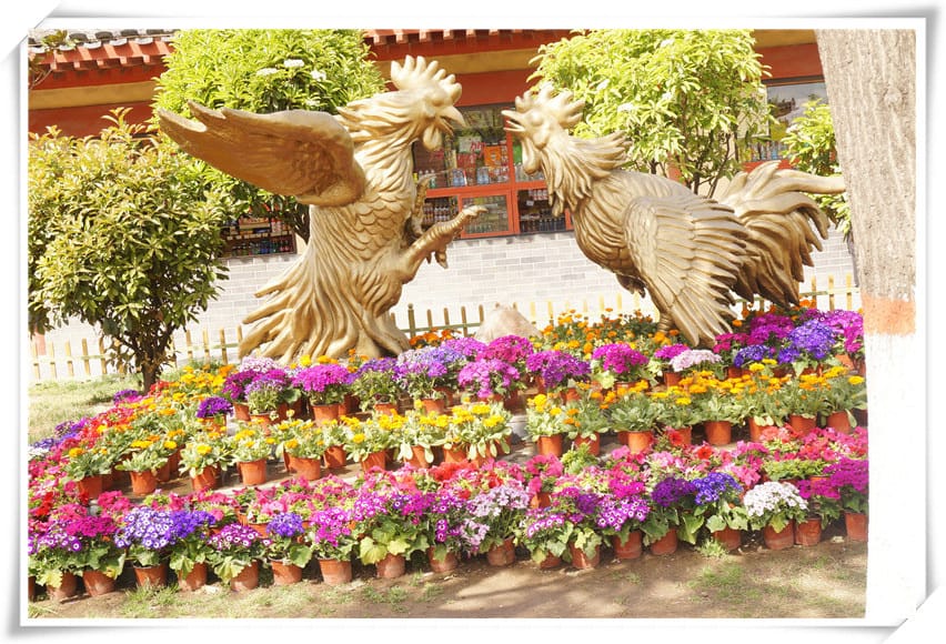 1460997771-3660354270.jpg 1460997771-3660354270.jpg